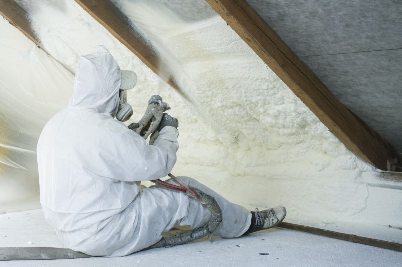 Attic Insulation Removal